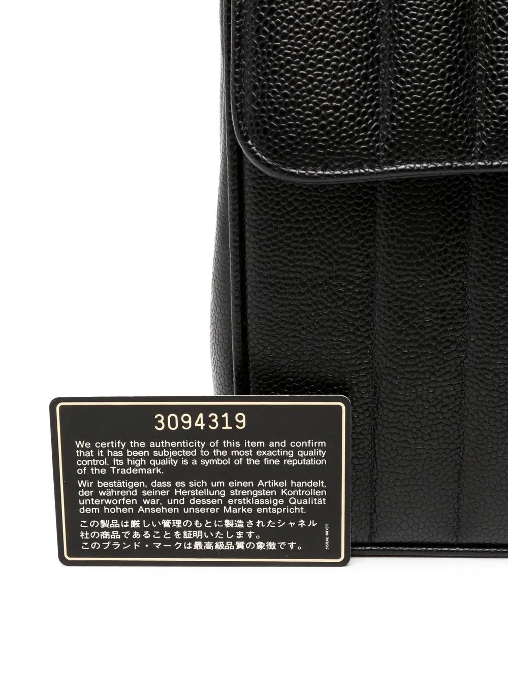 Pre-OwnedCHANEL Pre-Owned1995 Mademoiselle Classic Flap Jumbo shoulder bag