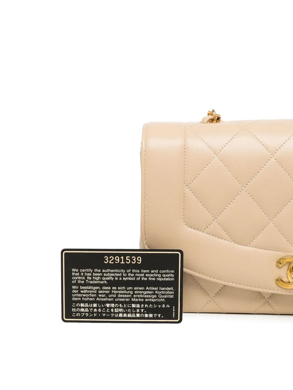 Pre-OwnedCHANEL Pre-Owned1994-1996 small Diana shoulder bag