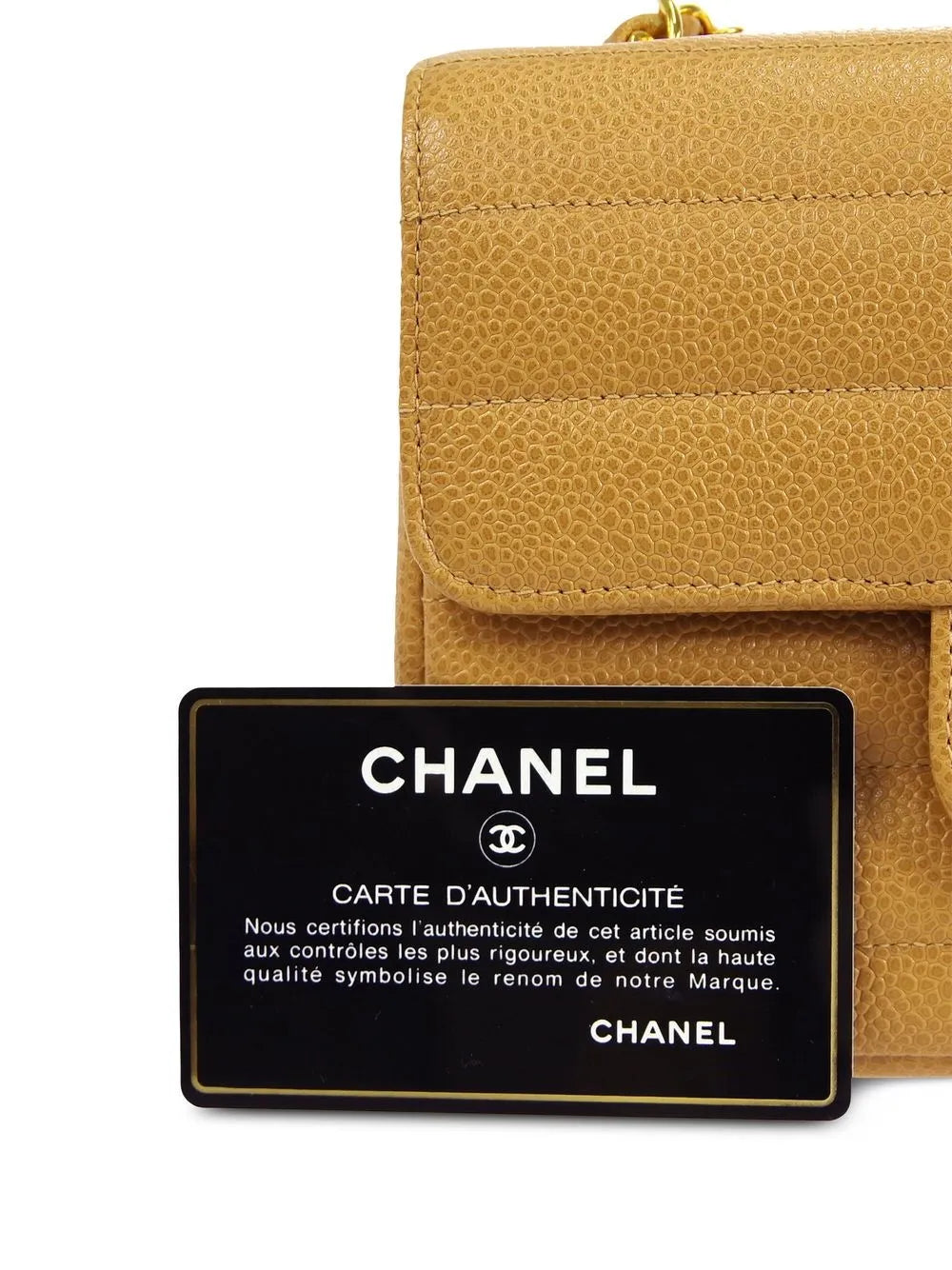 Pre-OwnedCHANEL Pre-Owned1995 Mademoiselle mini Classic Flap shoulder bag