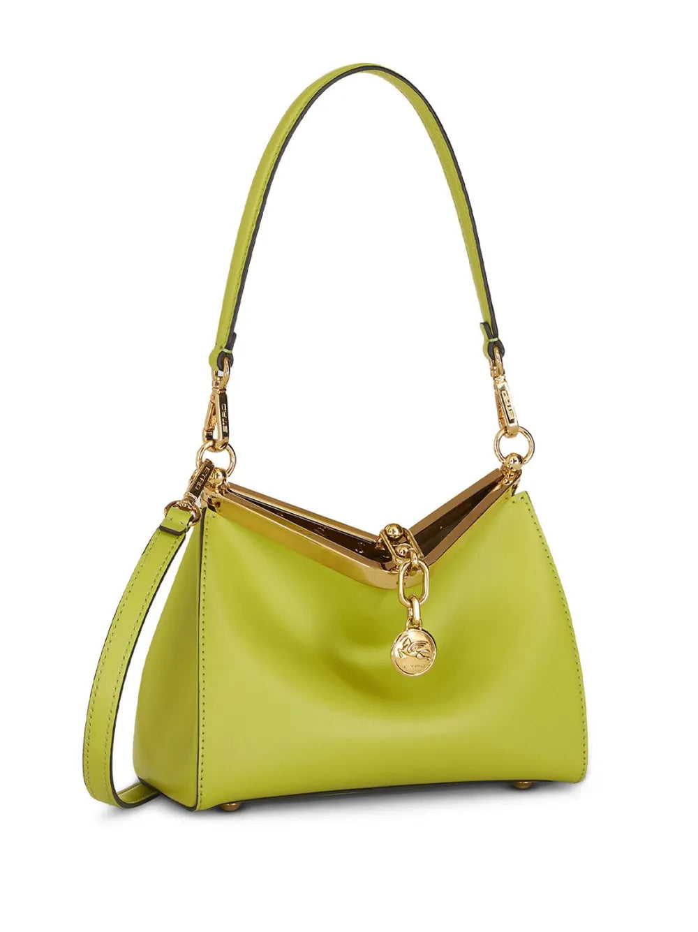 ETROVela leather shoulder bag