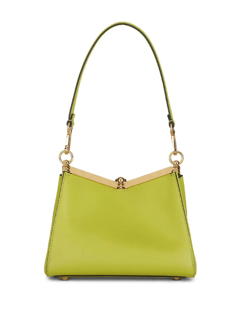 ETROVela leather shoulder bag
