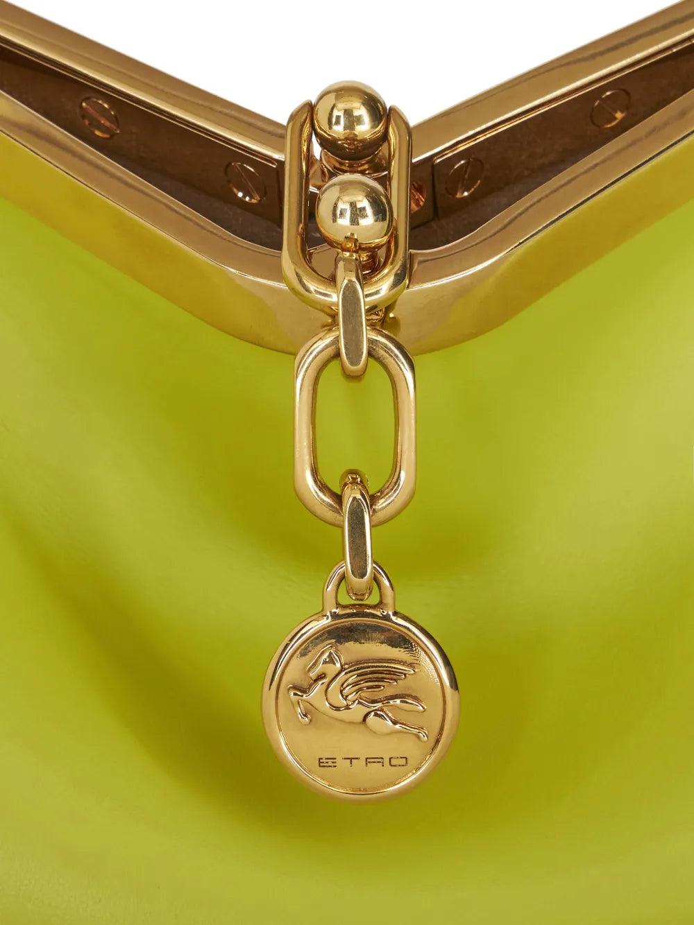 ETROVela leather shoulder bag