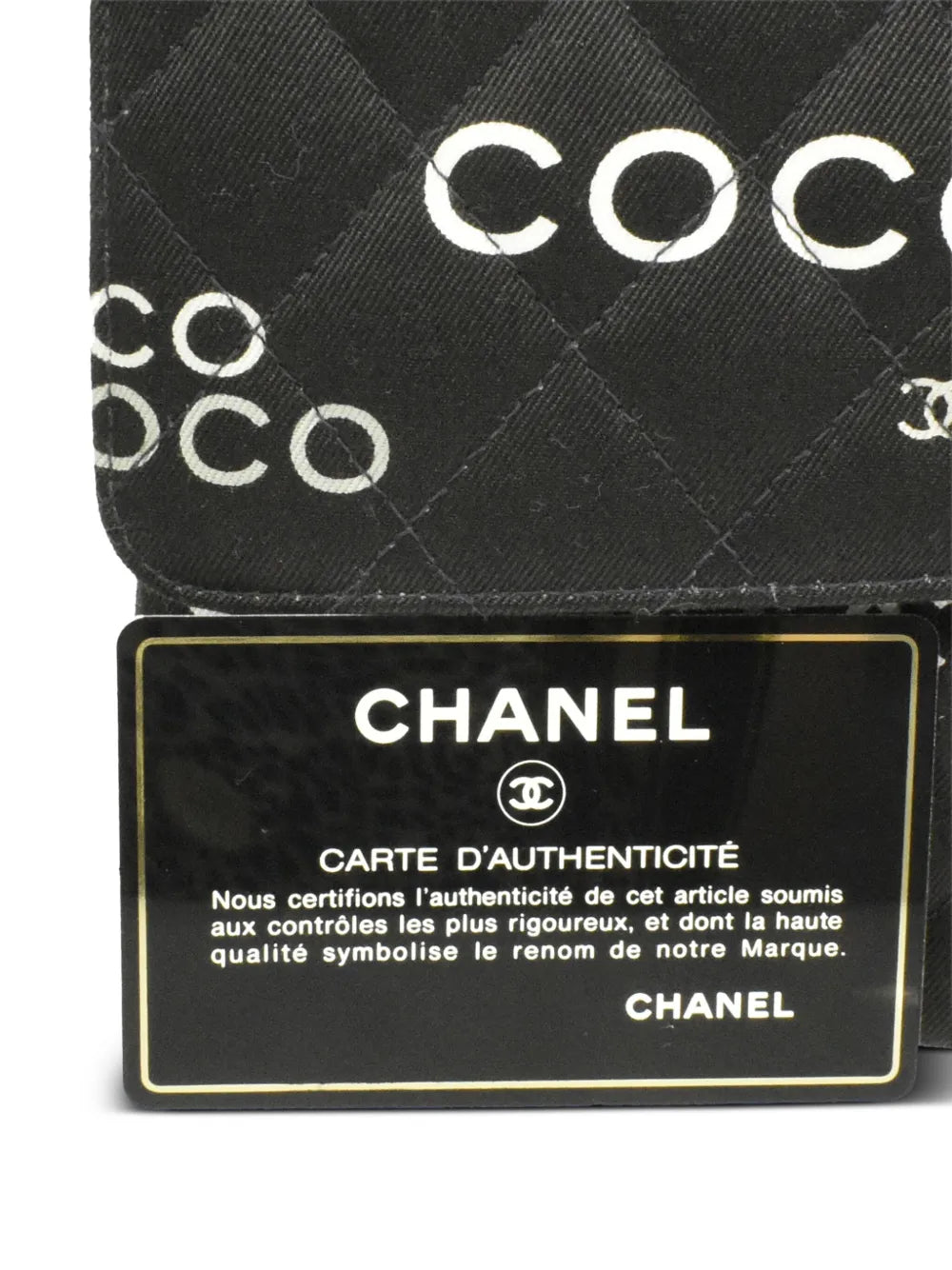 Pre-OwnedCHANEL Pre-Owned2002 Coco-Print Double Flap shoulder bag
