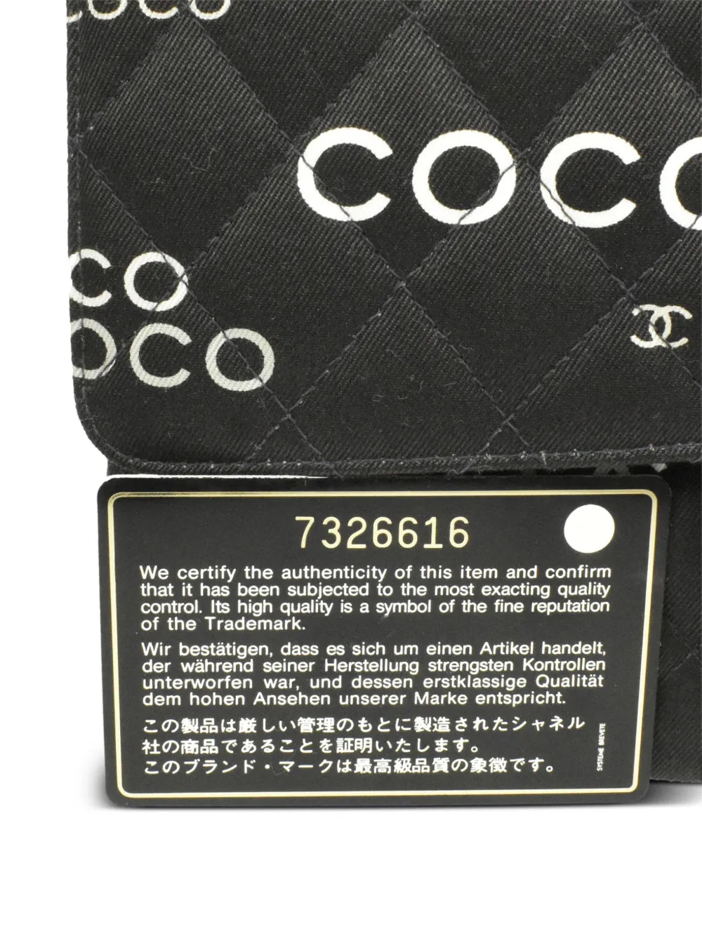Pre-OwnedCHANEL Pre-Owned2002 Coco-Print Double Flap shoulder bag