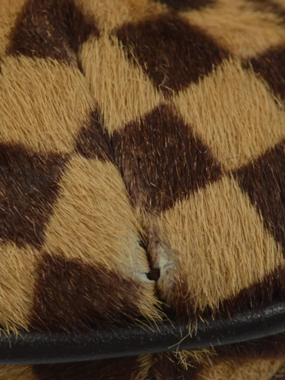 Pre-OwnedLouis Vuitton Pre-Owned2002 Tigre Sauvage tote bag