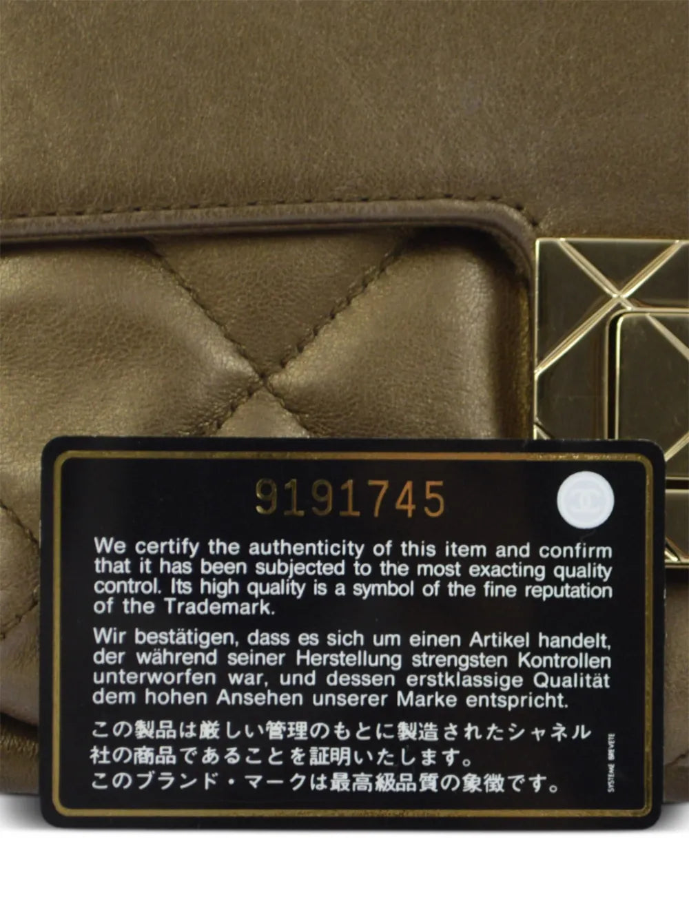 Pre-OwnedCHANEL Pre-Owned2005 Double Chain shoulder bag