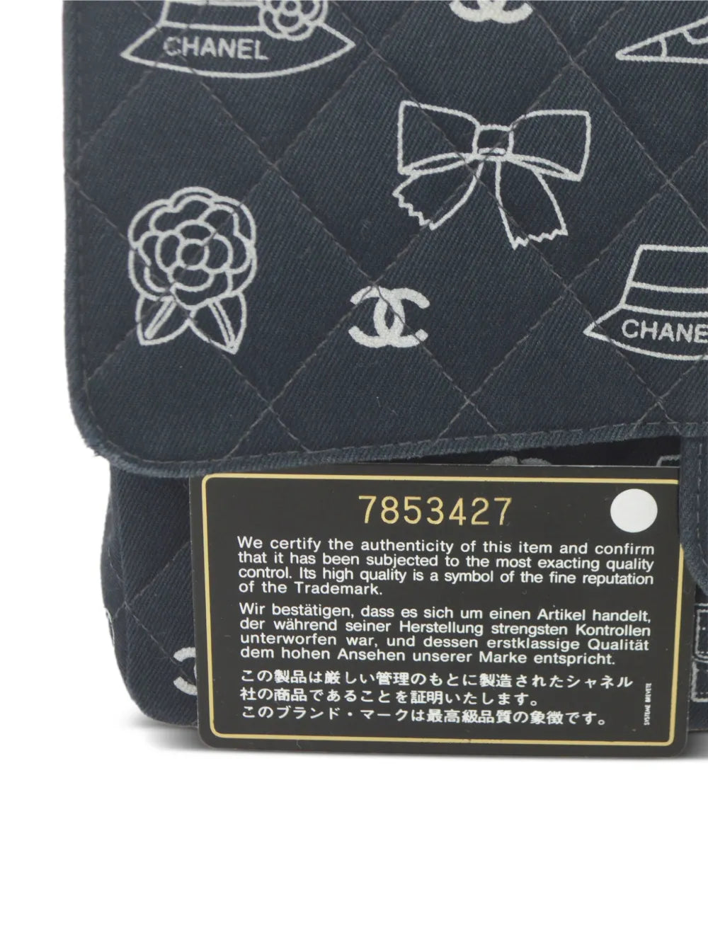 Pre-OwnedCHANEL Pre-Owned2002 medium Double Flap Icon shoulder bag