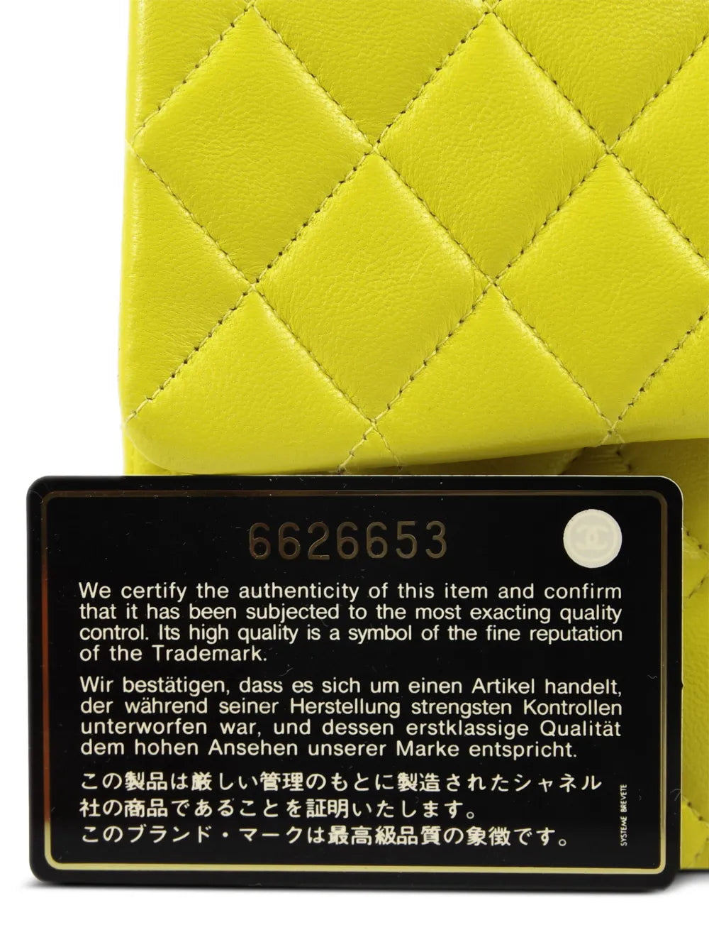 Pre-OwnedCHANEL Pre-Owned2000 medium Double Flap shoulder bag