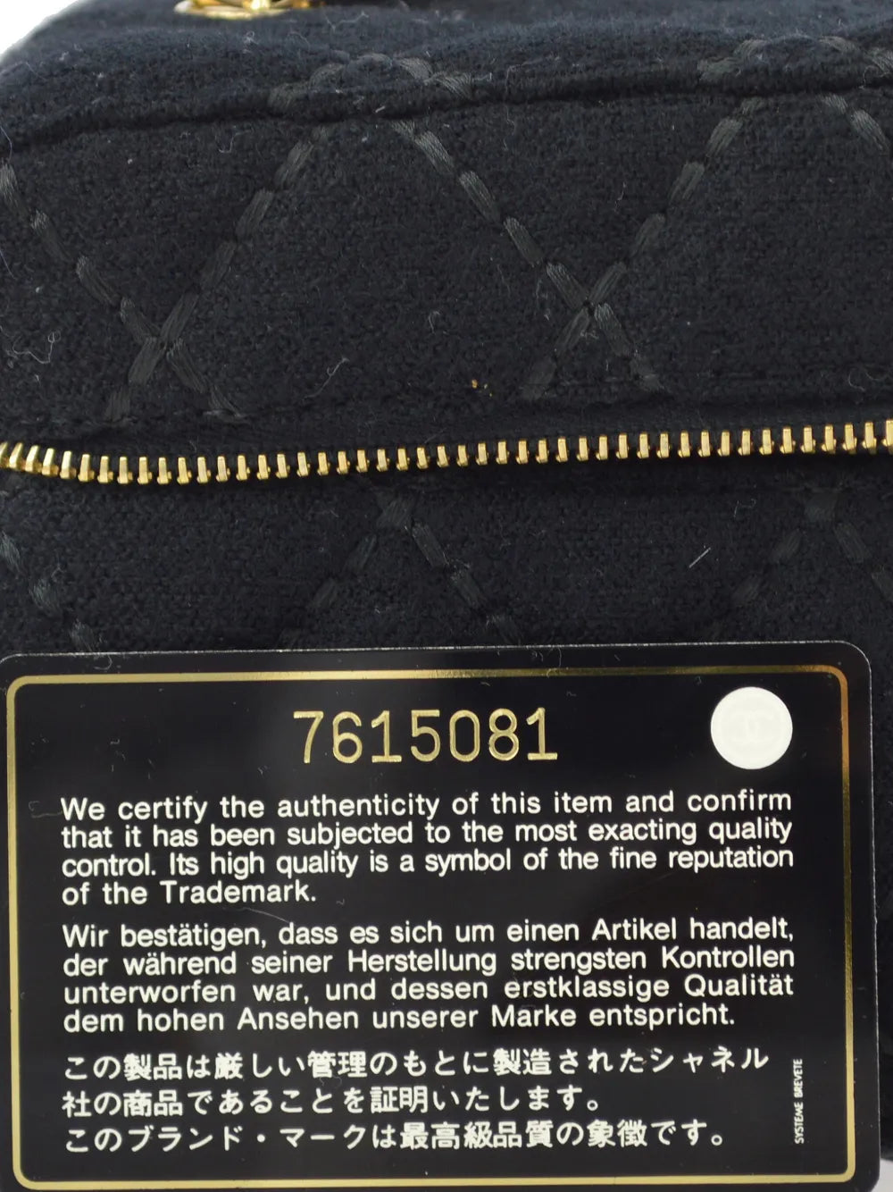 Pre-OwnedCHANEL Pre-Owned2002 Wild Stitch vanity handbag