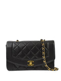 Pre-OwnedCHANEL Pre-Owned1995 Diana small shoulder bag