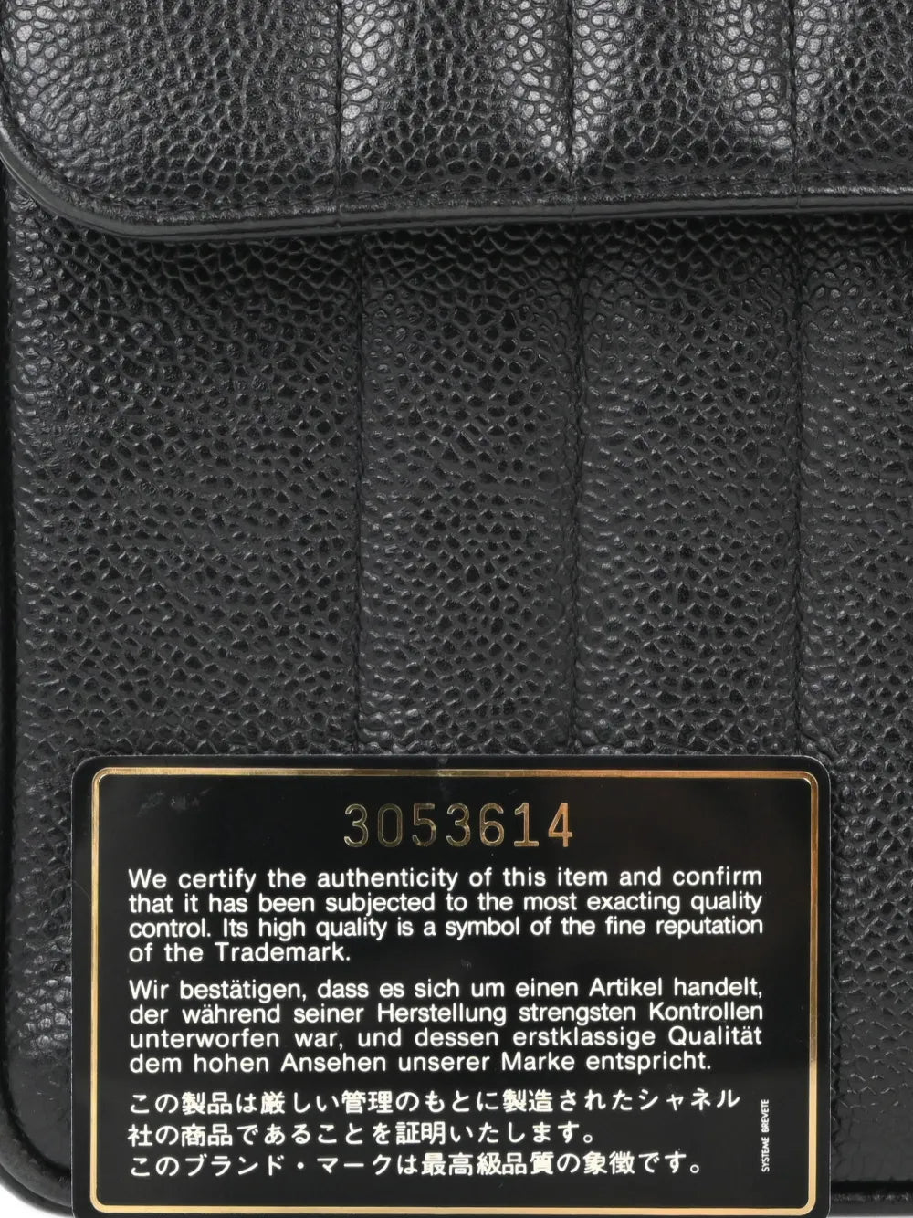 Pre-OwnedCHANEL Pre-Owned1995 Mademoiselle Classic Flap shoulder bag