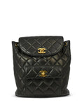 Pre-OwnedCHANEL Pre-Owned1995 Duma backpack