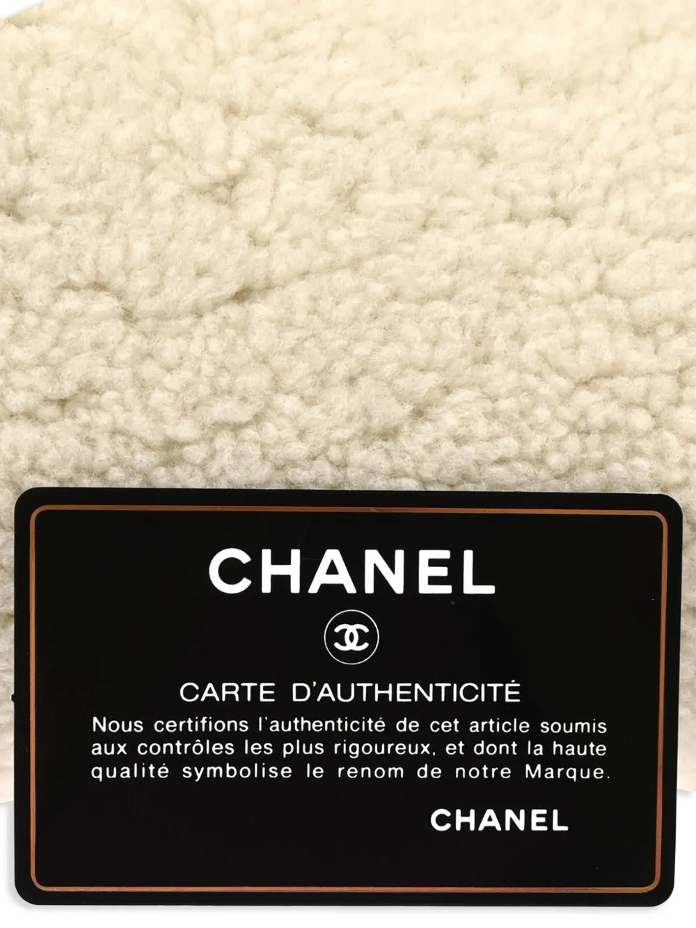 Pre-OwnedCHANEL Pre-Owned2019 Coco Neige tote bag