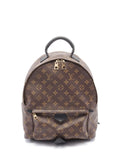Pre-OwnedLouis Vuitton Pre-Owned2018 Palm Springs MM backpack