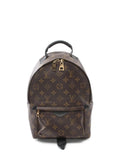 Pre-OwnedLouis Vuitton Pre-Owned2016 Palm Springs backpack