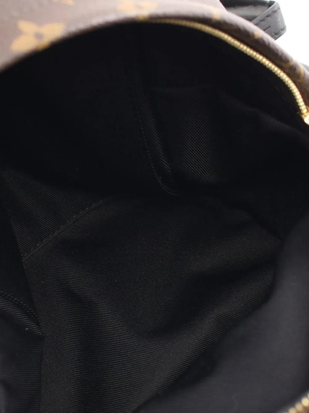Pre-OwnedLouis Vuitton Pre-Owned2018 Palm Springs PM backpack