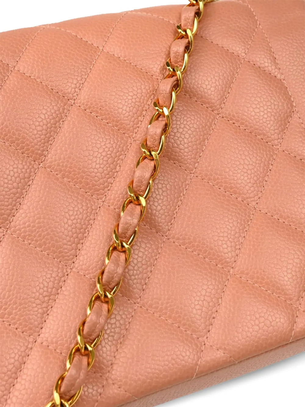 Pre-OwnedCHANEL Pre-Owned1995 medium Diana shoulder bag