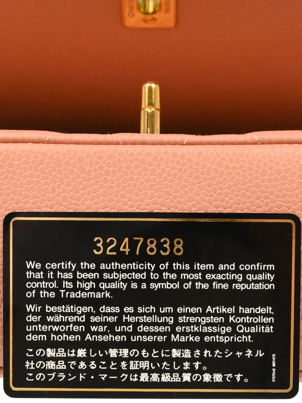 Pre-OwnedCHANEL Pre-Owned1995 medium Diana shoulder bag