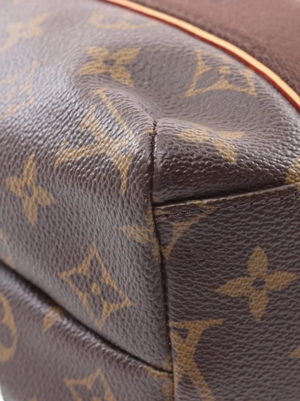 Pre-OwnedLouis Vuitton Pre-Owned2009 Hippopotamus tote bag