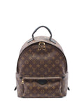 Pre-OwnedLouis Vuitton Pre-Owned2017 Palm Springs MM backpack
