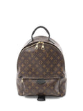 Pre-OwnedLouis Vuitton Pre-Owned2020 Palm Springs MM backpack