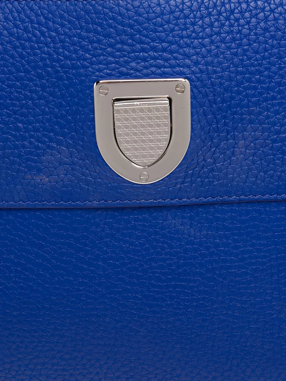 Pre-OwnedChristian Dior Pre-OwnedDiorever tote bag