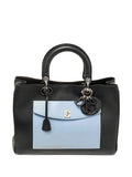 Pre-OwnedChristian Dior Pre-OwnedLady Dior leather tote bag