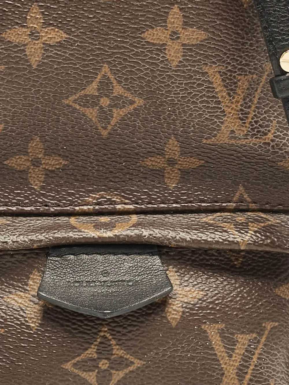 Pre-OwnedLouis Vuitton Pre-Ownedmini Palm Springs backpack