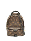 Pre-OwnedLouis Vuitton Pre-Ownedmini Palm Springs backpack