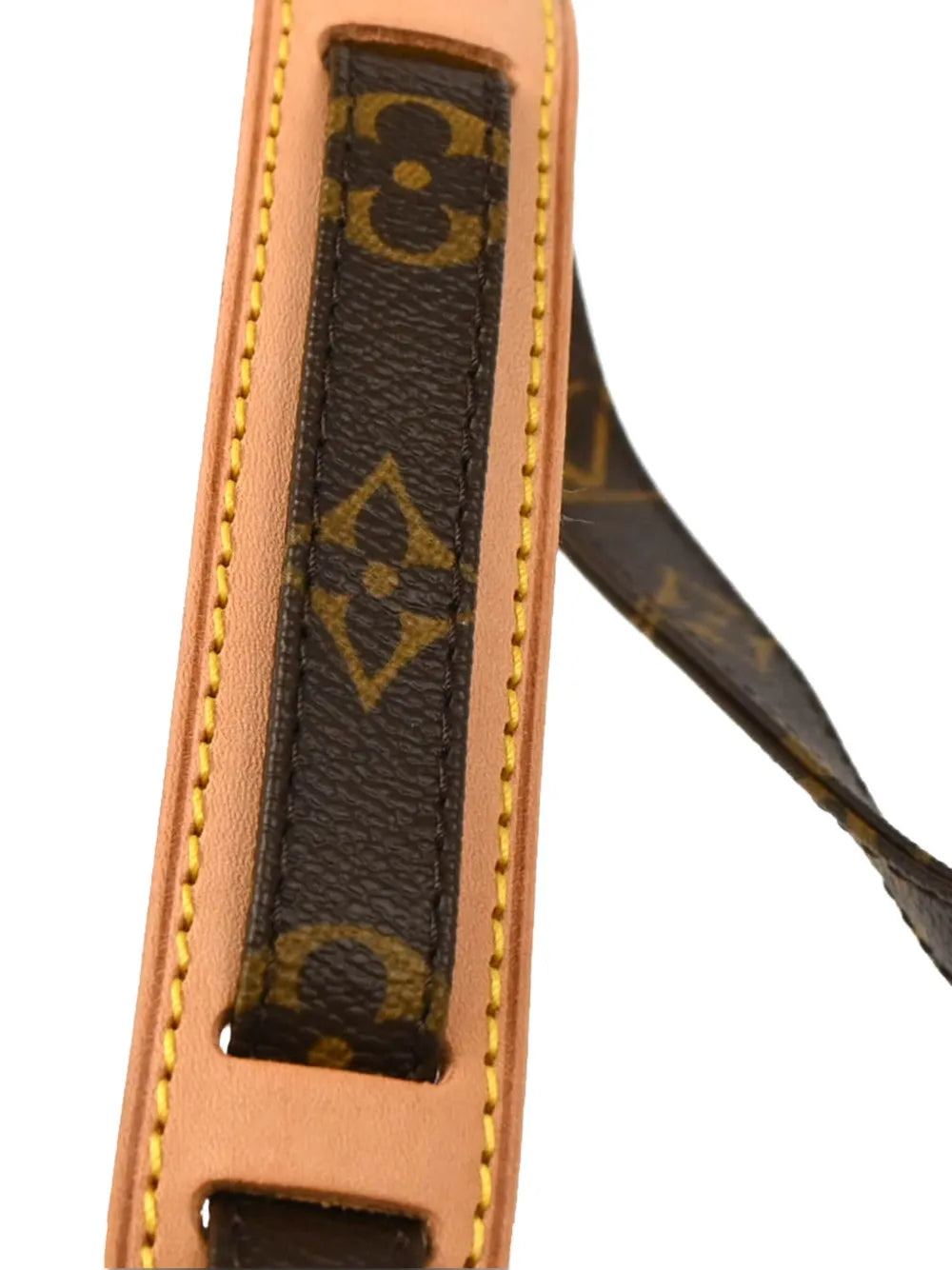 Pre-OwnedLouis Vuitton Pre-Owned2010 Monogram Amazon crossbody bag