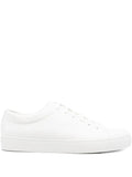 Jak Royal Leather Sneakers