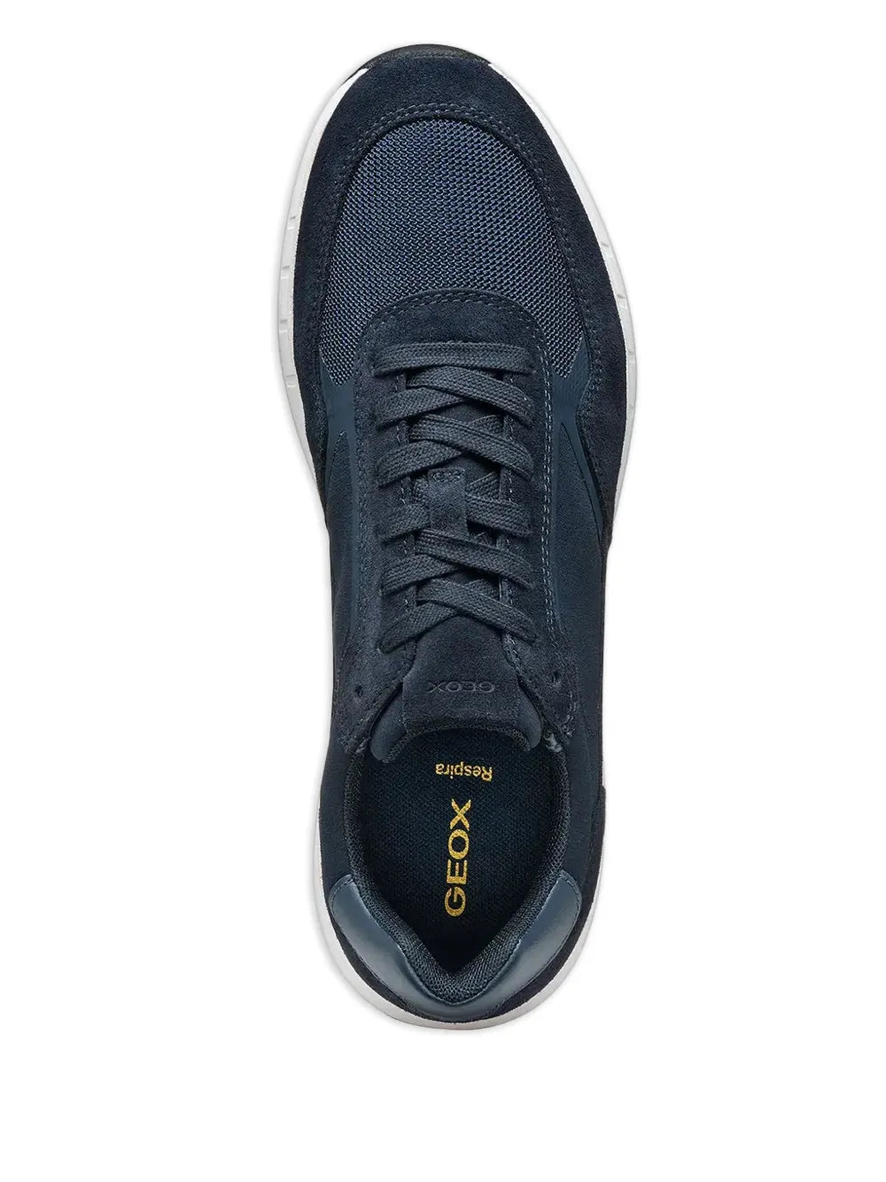 Geox Branthon Suede Sneakers