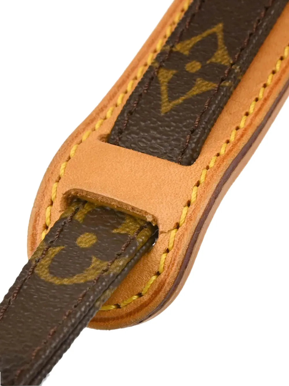 Pre-OwnedLouis Vuitton Pre-Owned2009 Amazon crossbody bag