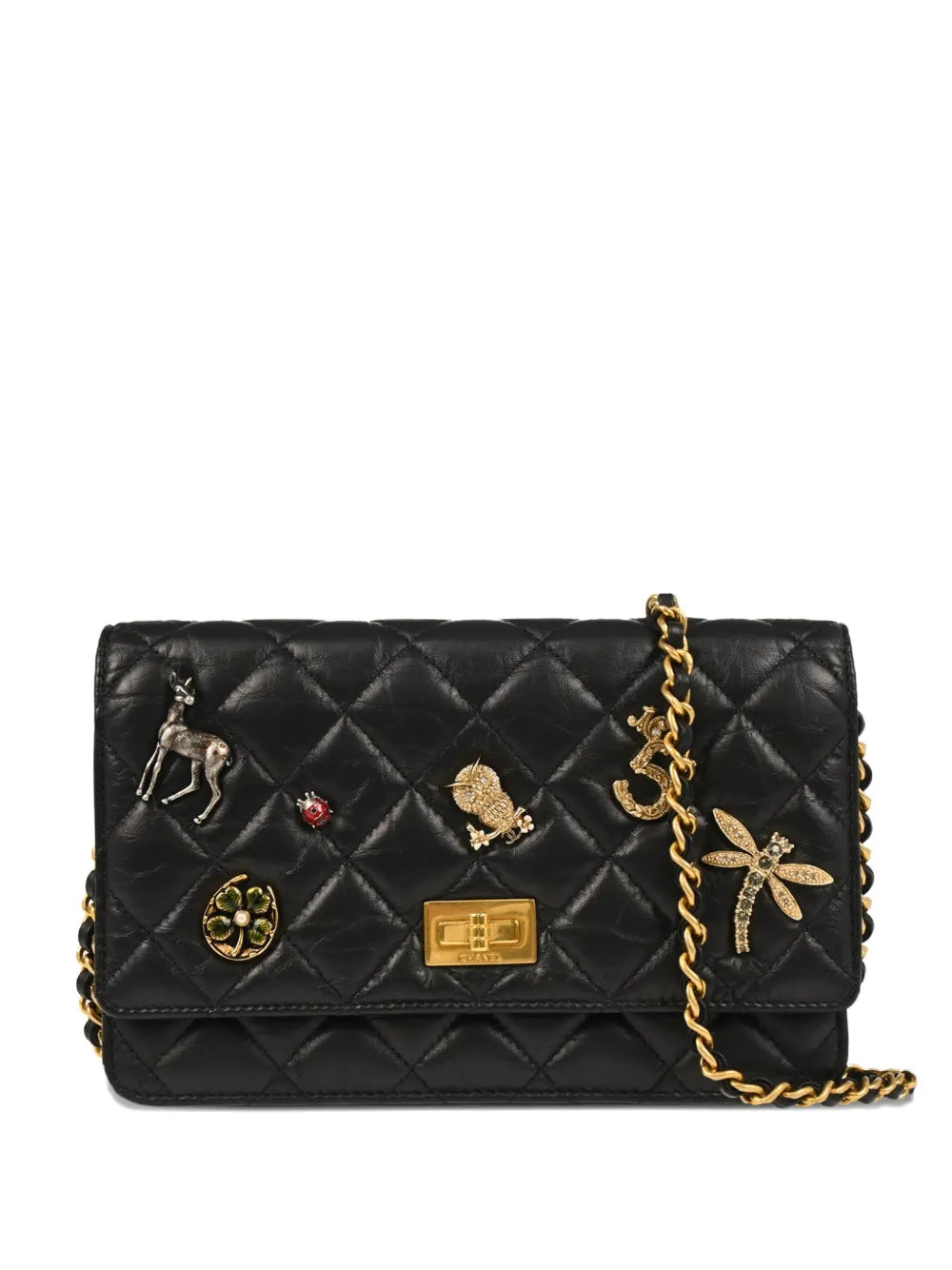 Pre-OwnedCHANEL Pre-Owned2017 Lucky Charm wallet on chain