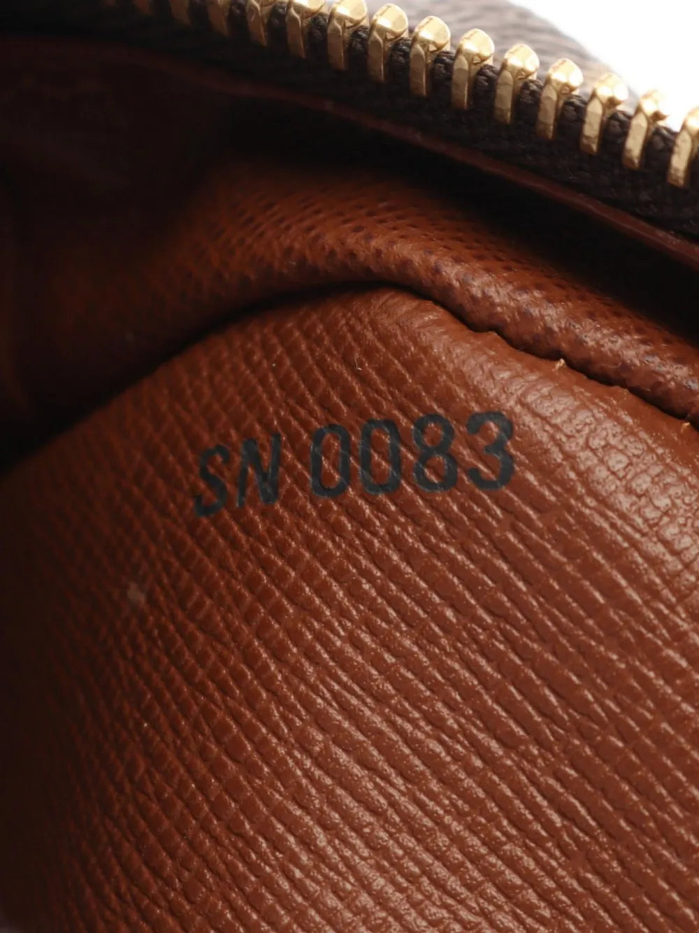 Pre-OwnedLouis Vuitton Pre-Owned2003 Blower monogram shoulder bag