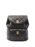 Pre-OwnedCHANEL Pre-Owned2000s Duma lambskin backpack