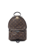 Pre-OwnedLouis Vuitton Pre-Owned2016 Palm Springs PM backpack