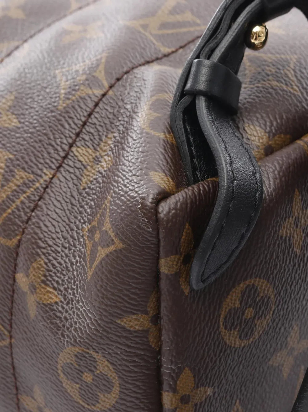 Pre-OwnedLouis Vuitton Pre-Owned2016 Palm Springs PM backpack