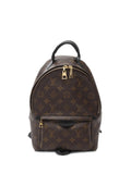 Pre-OwnedLouis Vuitton Pre-Owned2019 Palm Springs backpack