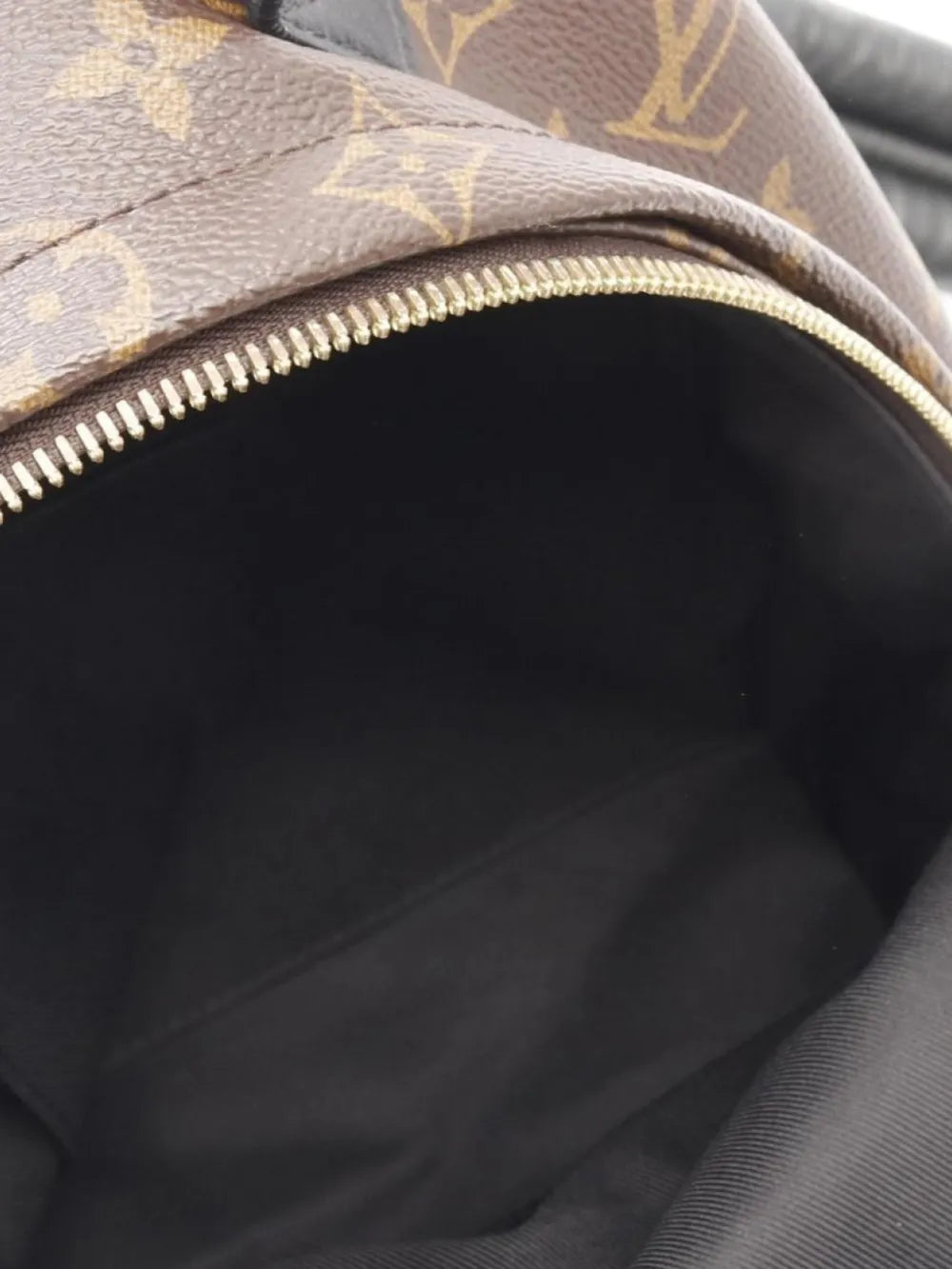 Pre-OwnedLouis Vuitton Pre-Owned2019 Palm Springs backpack