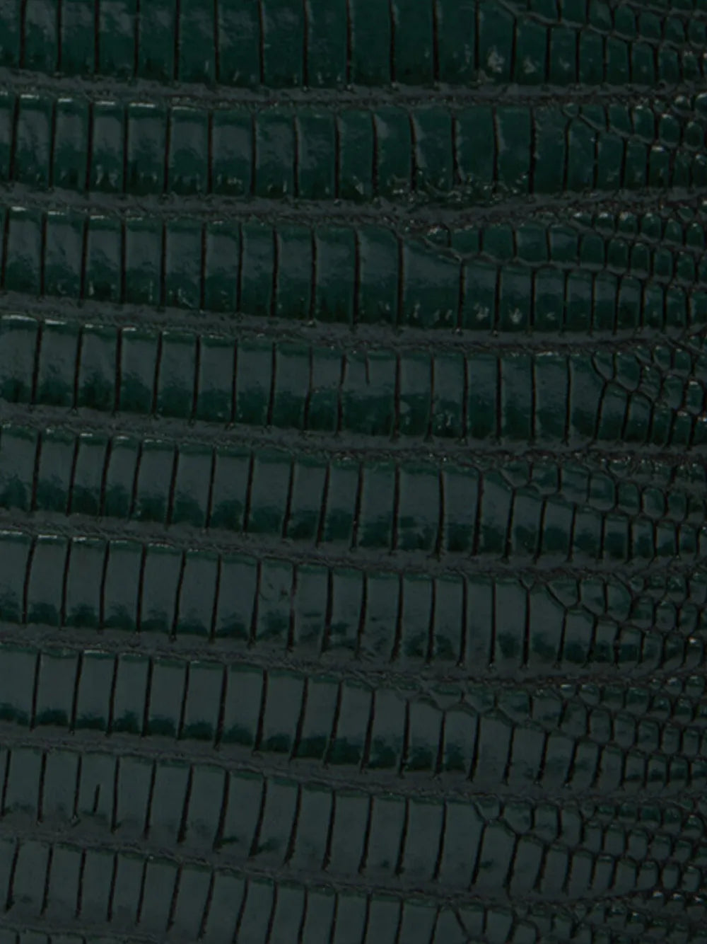 Roberto Cavallisnake-embellished tote bag