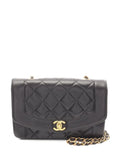 Pre-OwnedCHANEL Pre-Owned1994-1996 Diana shoulder bag