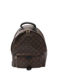 Pre-OwnedLouis Vuitton Pre-Owned2016 Palm Springs MM monogram backpack