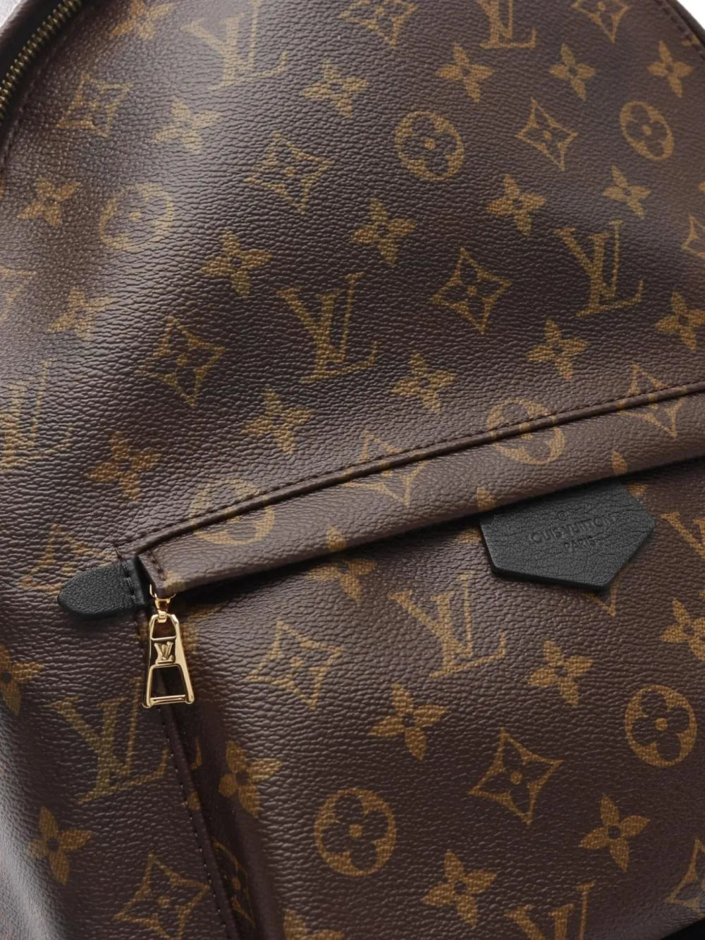 Pre-OwnedLouis Vuitton Pre-Owned2016 Palm Springs MM monogram backpack
