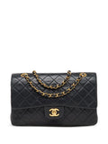 Pre-OwnedCHANEL Pre-OwnedDouble Flap shoulder bag