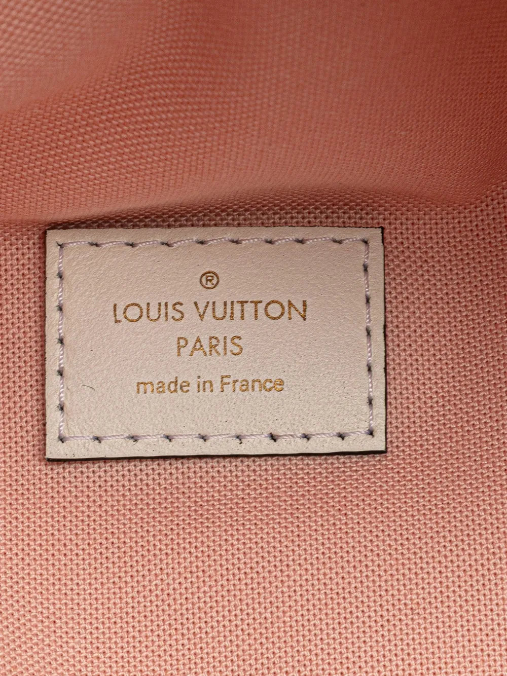 Pre-OwnedLouis Vuitton Pre-Owned2019 Monogram Giant Bumbag belt bag