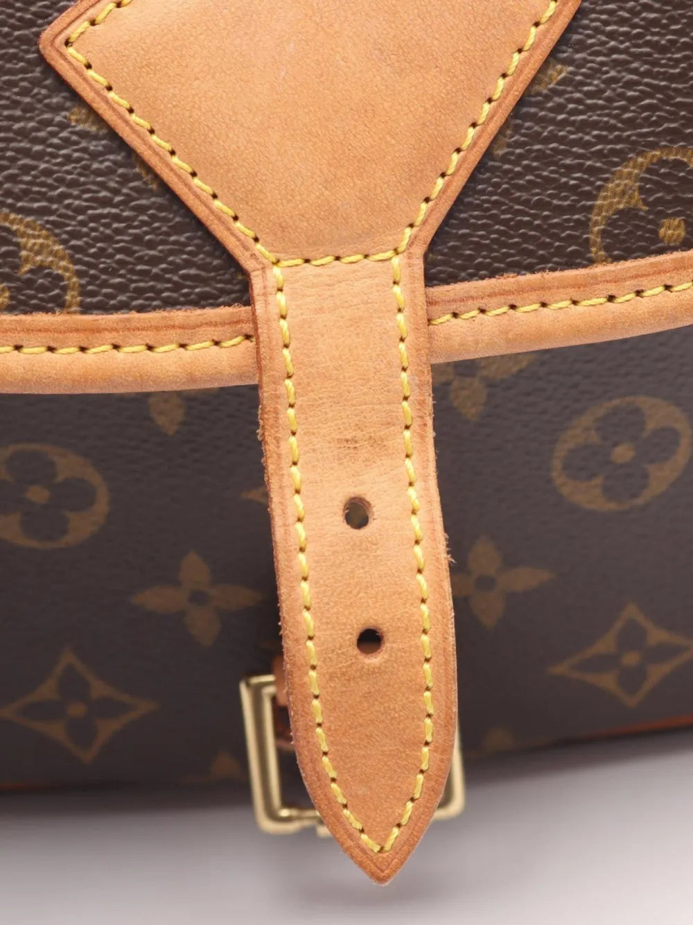 Pre-OwnedLouis Vuitton Pre-Owned2004 small Sologne monogram shoulder bag