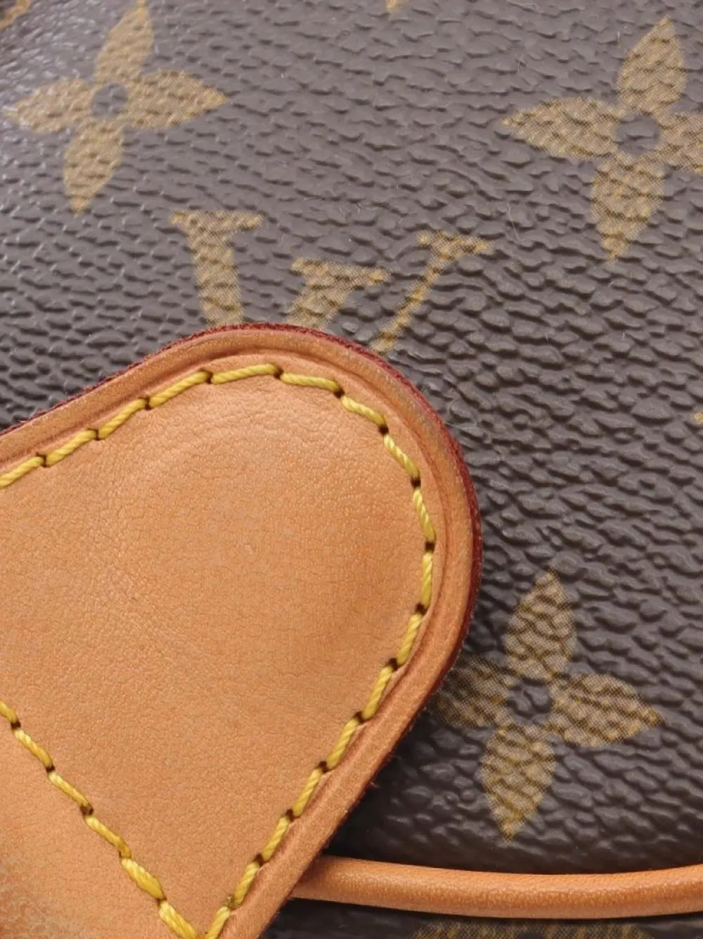 Pre-OwnedLouis Vuitton Pre-Owned2002 monogram pochette belt bag