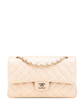 Pre-OwnedCHANEL Pre-Owned2019 Medium Classic Iridescent Caviar Double Flap shoulder bag