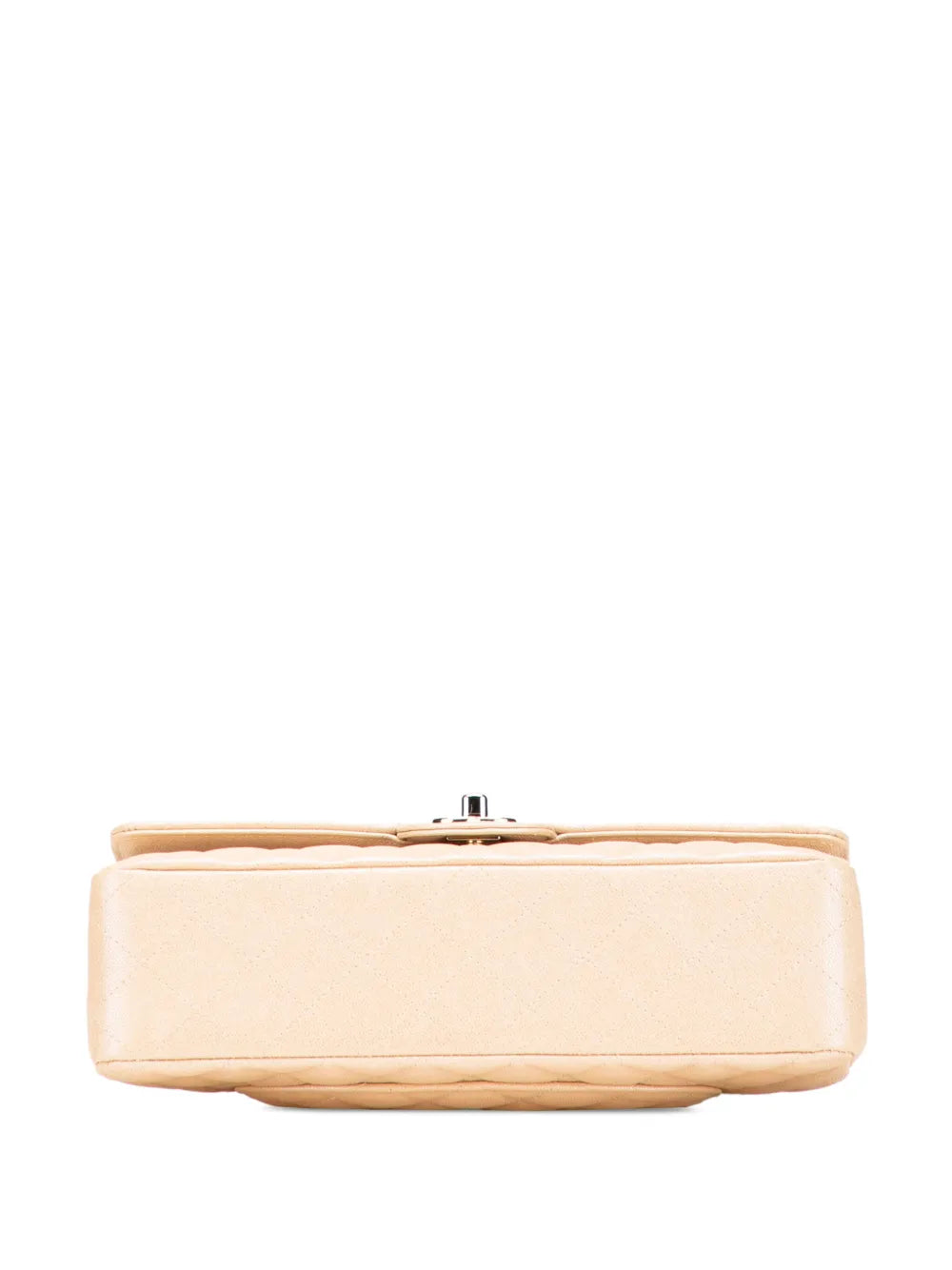 Pre-OwnedCHANEL Pre-Owned2019 Medium Classic Iridescent Caviar Double Flap shoulder bag